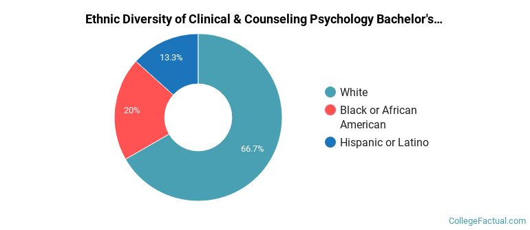 Ethnic diversity of Clinical & Counseling Psychology majors at Albright College