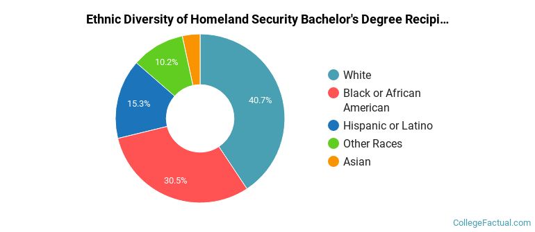 Ethnic diversity of Homeland Security majors at American InterContinental University System
