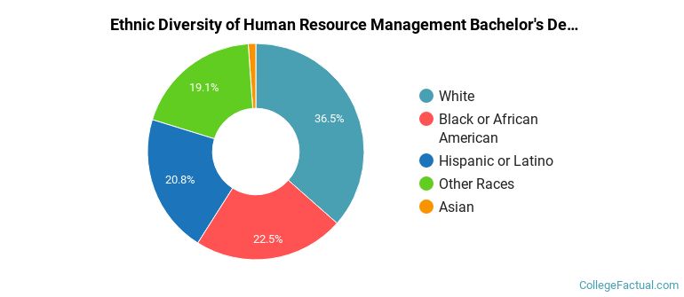 Ethnic diversity of Human Resource Management majors at American Public University System