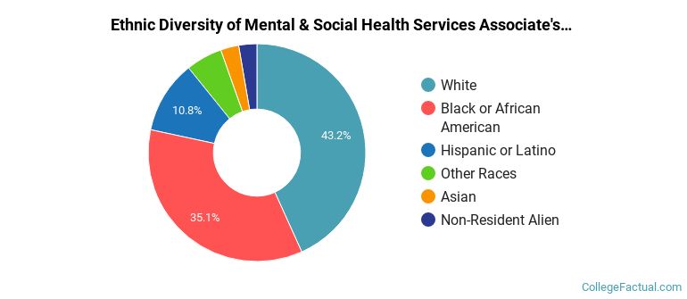 Ethnic diversity of Mental & Social Health Services majors at Anne Arundel Community College