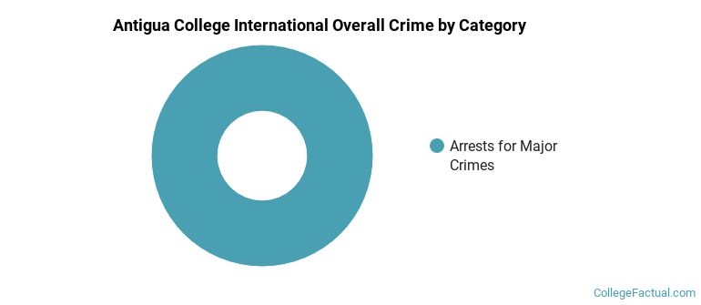 Antigua College International Overall Crime by Category