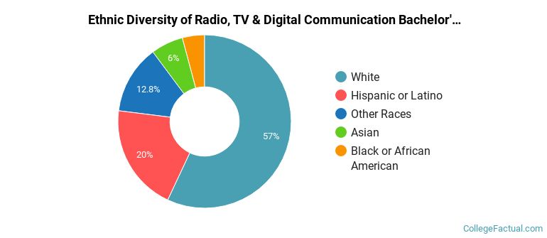 Ethnic diversity of Radio, TV & Digital Communication majors at Arizona State University Digital Immersion