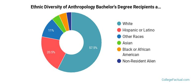 Ethnic diversity of Anthropology majors at Arizona State University Campus Immersion