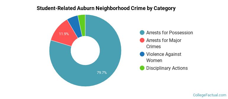 Student-Related Auburn Neighborhood Crime by Category