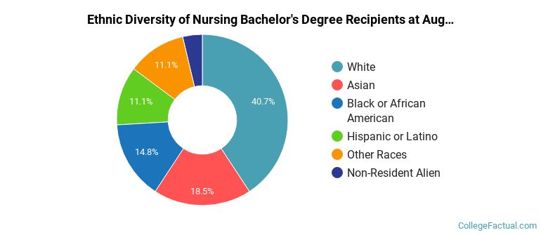Ethnic diversity of Nursing majors at Augsburg University