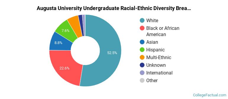 Augusta University Racial-Ethnic Diversity Pie Chart