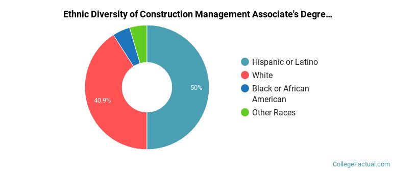 Ethnic diversity of Construction Management majors at Austin Community College District