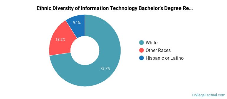 Ethnic diversity of Information Technology majors at Baker College