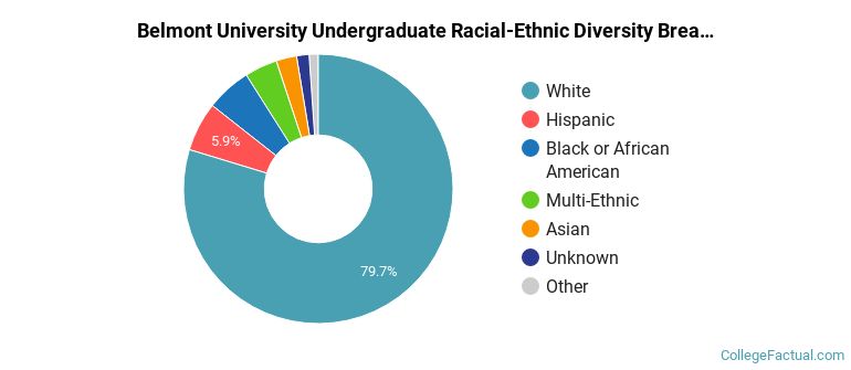 Belmont University Racial-Ethnic Diversity Pie Chart