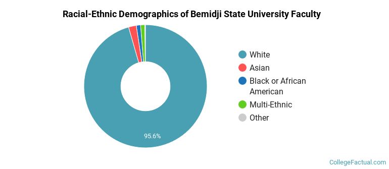 Racial-Ethnic Demographics of Bemidji State University Faculty