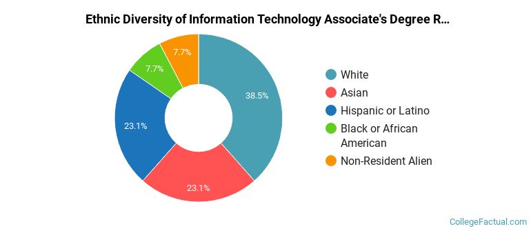 Ethnic diversity of Information Technology majors at Bergen Community College