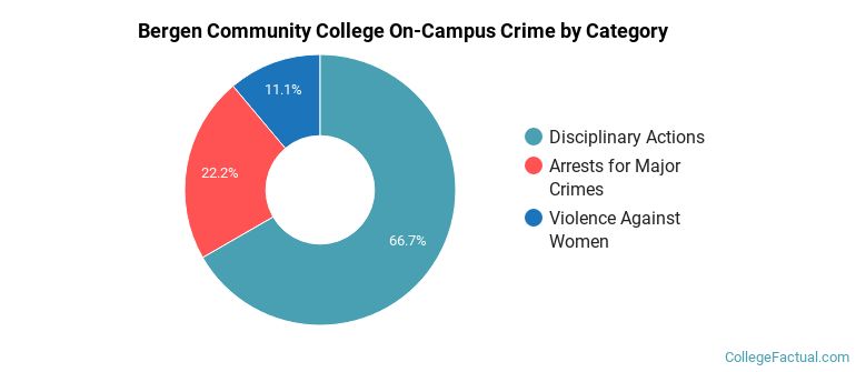 Bergen Community College On-Campus Crime by Category