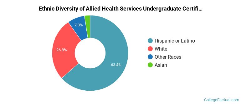 Ethnic diversity of Allied Health Services majors at Miller-Motte College-Berks Technical Institute