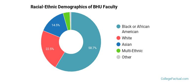 Racial-Ethnic Demographics of BHU Faculty