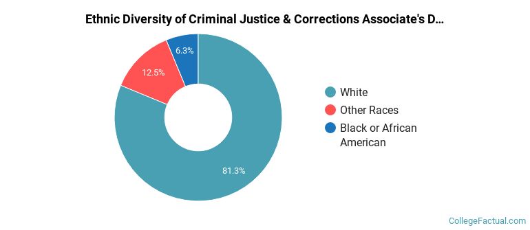 Ethnic diversity of Criminal Justice & Corrections majors at Blackhawk Technical College