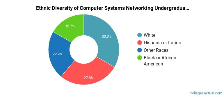 Ethnic diversity of Computer Systems Networking majors at Blinn College District