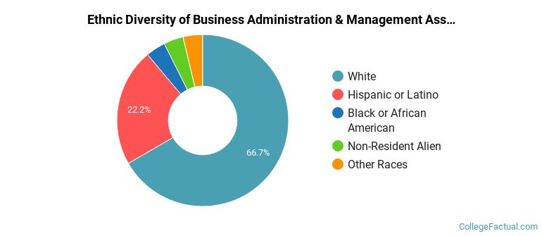 Ethnic diversity of Business Administration & Management majors at Blue Ridge Community College