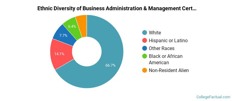 Ethnic diversity of Business Administration & Management majors at Blue Ridge Community College