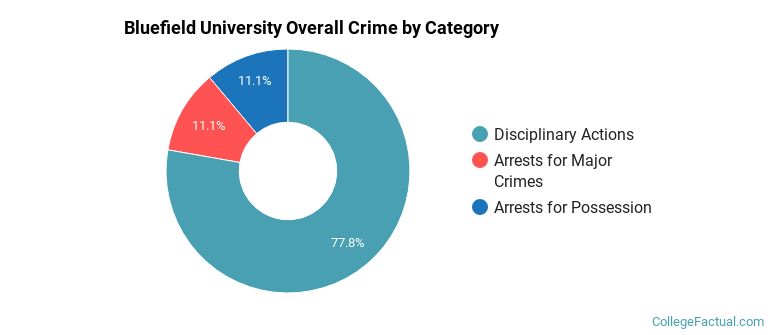 Bluefield University Overall Crime by Category