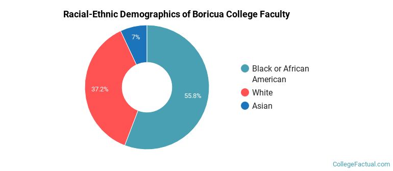 Racial-Ethnic Demographics of Boricua College Faculty
