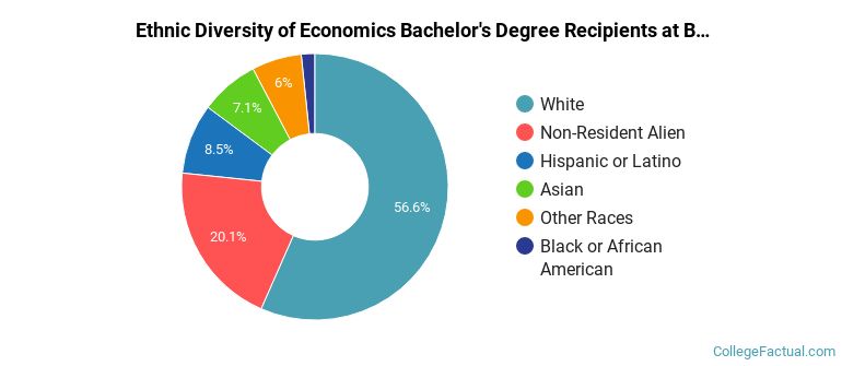 Ethnic diversity of Economics majors at Boston College