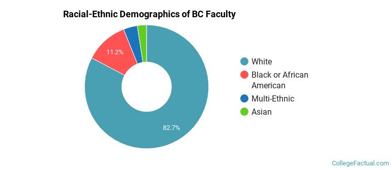 Racial-Ethnic Demographics of BC Faculty
