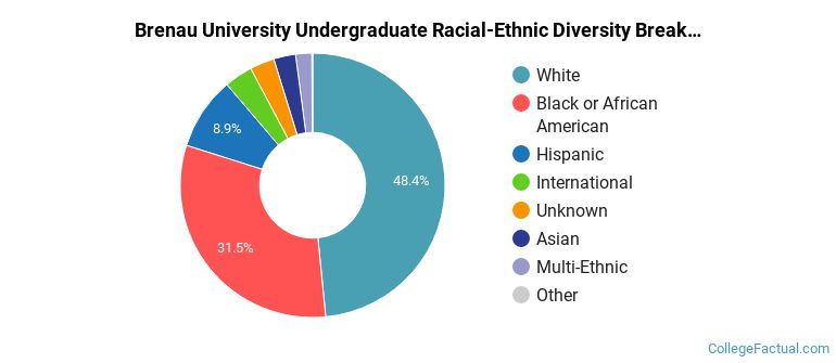 Brenau University Racial-Ethnic Diversity Pie Chart