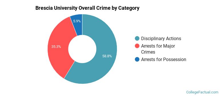 Brescia University Overall Crime by Category