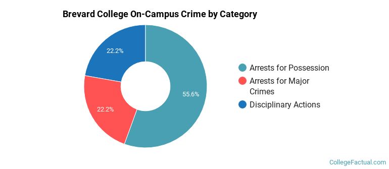 Brevard College On-Campus Crime by Category