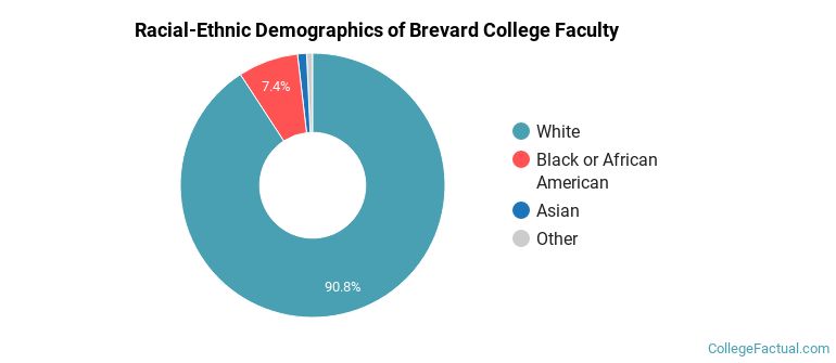 Racial-Ethnic Demographics of Brevard College Faculty