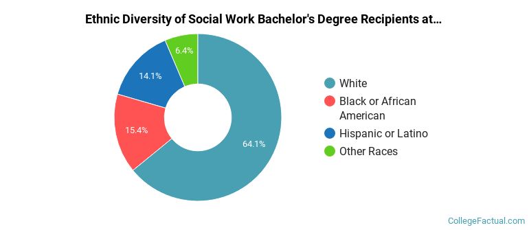 Ethnic diversity of Social Work majors at Bridgewater State University