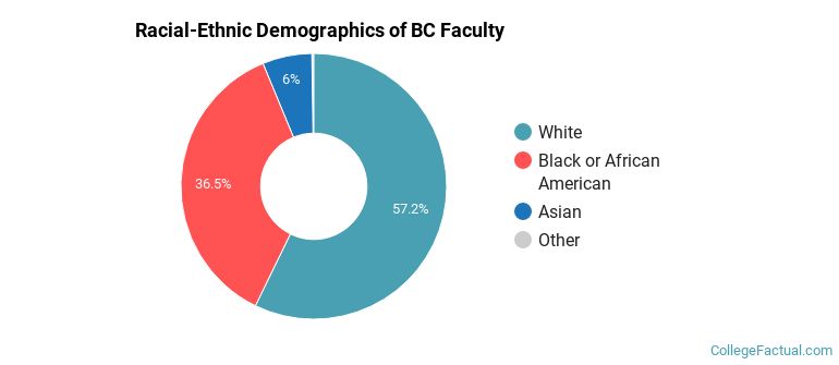 Racial-Ethnic Demographics of BC Faculty