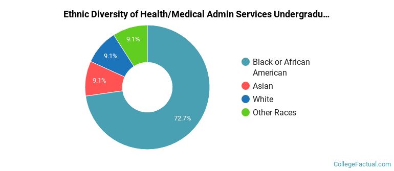 Ethnic diversity of Health/Medical Admin Services majors at Bryant & Stratton College-Virginia Beach