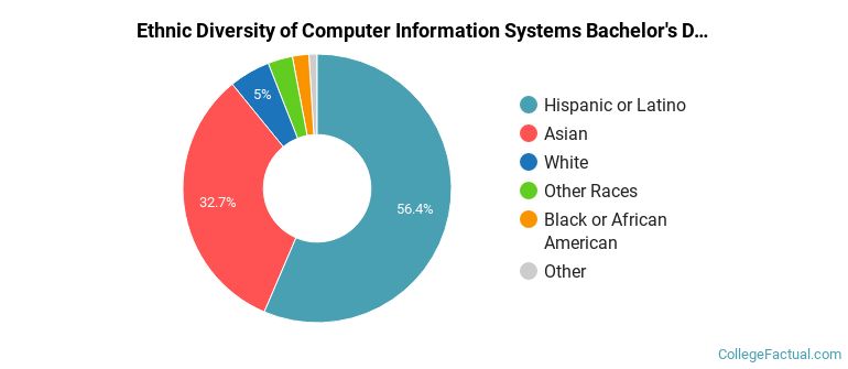 Ethnic diversity of Computer Information Systems majors at California State University-Los Angeles
