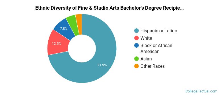 Ethnic diversity of Fine & Studio Arts majors at California State University-San Bernardino