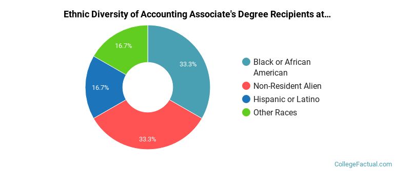 Ethnic diversity of Accounting majors at Camden County College