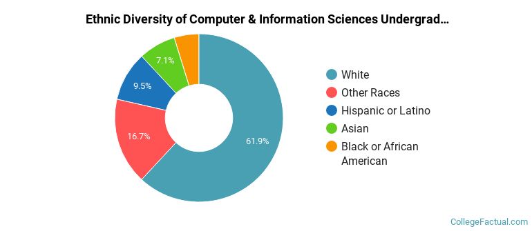 Values Computer Background The Undergraduate Computer & Information Sciences Major at Canadian ...