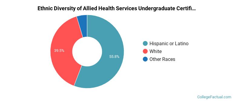 Ethnic diversity of Allied Health Services majors at Carrington College-Boise