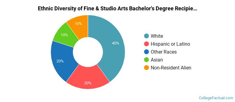 Ethnic diversity of Fine & Studio Arts majors at The Catholic University of America