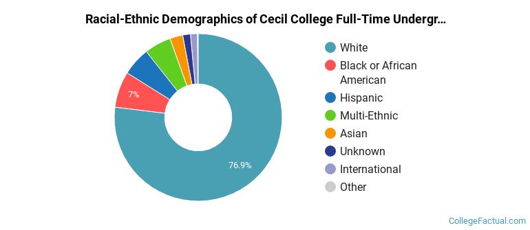 Cecil College Undergraduate Racial-Ethnic Diversity Pie Chart