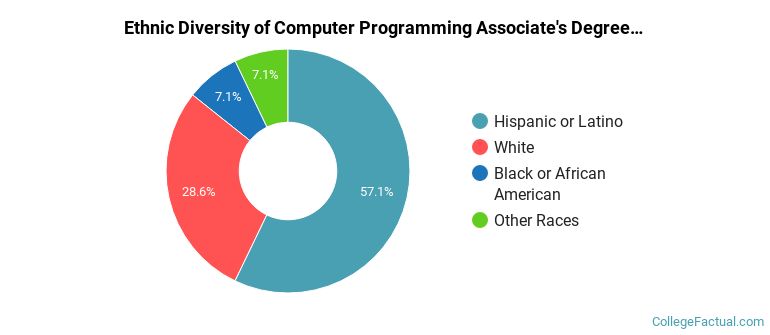 Ethnic diversity of Computer Programming majors at Central Arizona College