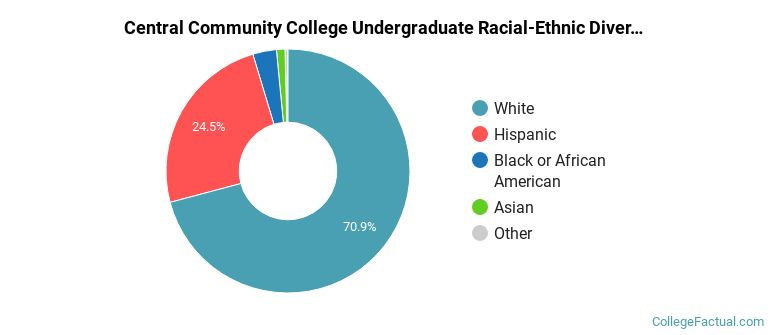 Central Community College Racial-Ethnic Diversity Pie Chart