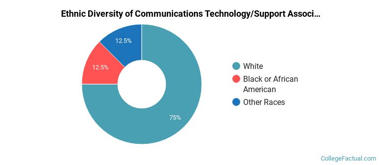 Ethnic diversity of Communications Technology/Support majors at Central Maine Community College