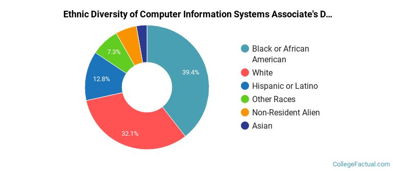 Ethnic diversity of Computer Information Systems majors at Central Piedmont Community College