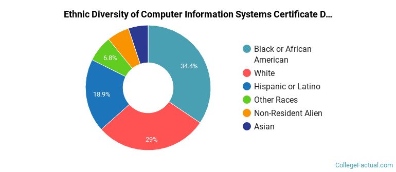 Ethnic diversity of Computer Information Systems majors at Central Piedmont Community College