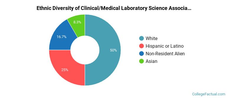 Ethnic diversity of Clinical/Medical Laboratory Science majors at Central Piedmont Community College
