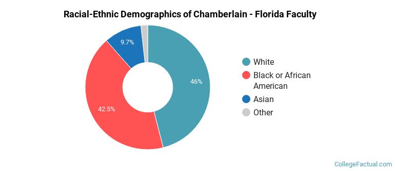 Racial-Ethnic Demographics of Chamberlain - Florida Faculty