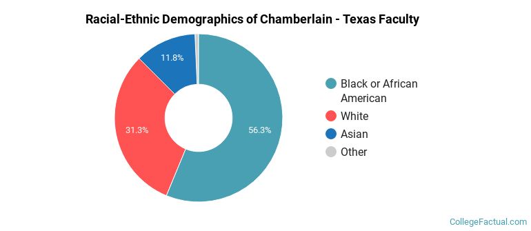 Racial-Ethnic Demographics of Chamberlain - Texas Faculty