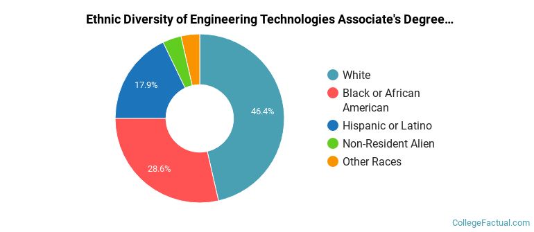 Ethnic diversity of Engineering Technologies majors at Chattahoochee Technical College