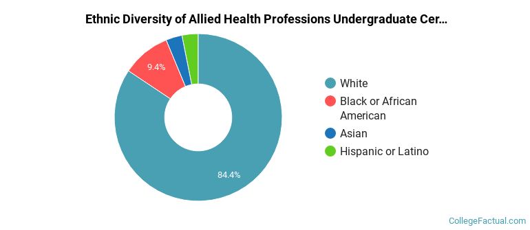 Ethnic diversity of Allied Health Professions majors at Chattanooga State Community College